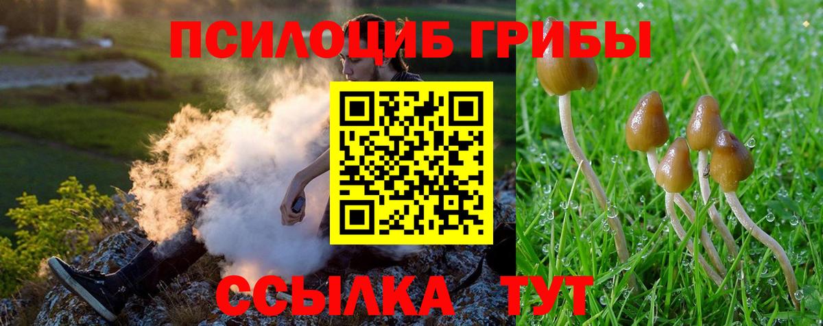 Галлюциногенные грибы Cubensis Краснокаменск
