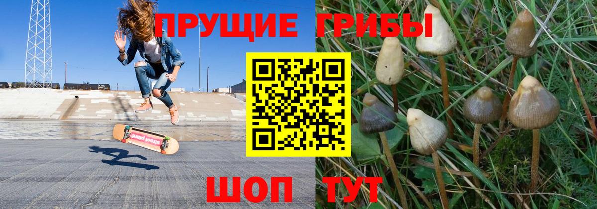 ТГК Краснокаменск